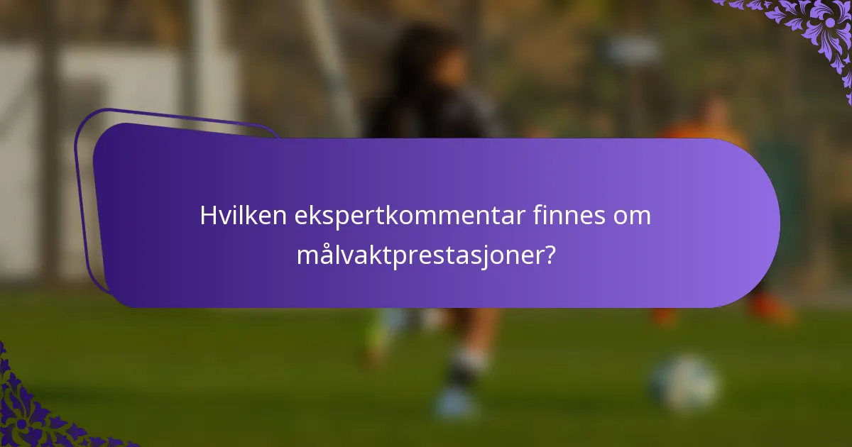 Hvilken ekspertkommentar finnes om målvaktprestasjoner?